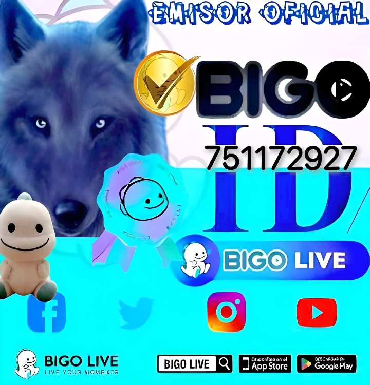 bigo banner