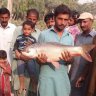 Yaseen786
