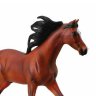 ✨🐴collecta🐴✨