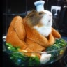 курочка.