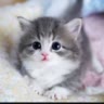 Оксана