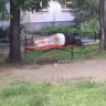 чек описание