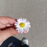 💖дп💖