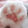 vs😇настюшаvs😺