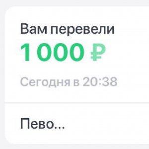 Переведи 3000 рублей