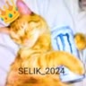 💚SELIK_2025💚