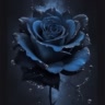 {$blue_rose$}