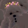 ~♡D♡~