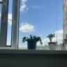 все лакерши фууу