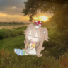 уɯᴧᴀ ^᪲᪲