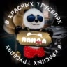 PandaRedShorts🐼