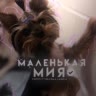 маленькая Мия✨