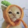 °ⲙⲁⲏⲇⲁⲣυⲏⲕⲁˆ𐃷ˆ