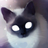 ᵗₒᵖ ᵥᵢdₑₒ