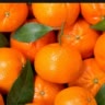 mandarin🍊