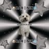 🐶BAR | LEGA🩷