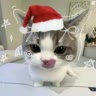 ❄︎ ᗝᑎ ☆ 