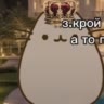 гнию в лайке