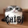 #𝕮𝖍𝖎𝖇𝖎 ушёл