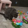кто-то