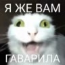 What?