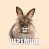 рисуночки🪿🫷