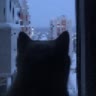 #-ⲡⲩⲱⲟⲕ🐾