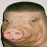 я какашка