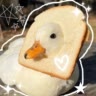 亗ɢᴜsʹ ᴏʙɴɪᴍᴜs★♪