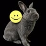 Верити🐰