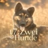 t7:Zwei Hunde