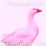 розовый гусь