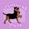 Я🙋 и мой пёс🐕