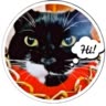 CAMEdy CATs