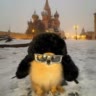 дпшк🐼