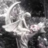 #᥈𐔤ⲏⲏᥲя🎧