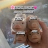 🌸домик свинок💓