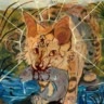 🐾𖦹๋࣭ɢʀᴀʏ𖦹๋࣭🐾