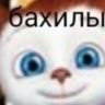 бахилы