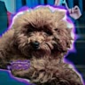 ⲙᥴ.ⲕᥲρᥲⲙᥱ᥈ьⲕᥲᥲ🤍
