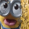 MINION🐥🐥