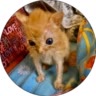 🥨бублик🐈