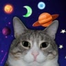 Кот Кексик