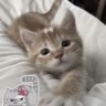 Василина🫣