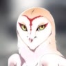 Птицуля🦉🐦✨