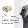Ss. пруфы