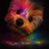 🎨Ушастая Айси🐶