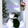 🐱 Cat_Stori 🍓
