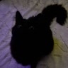 :-м1лекс.🐈⬛