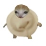 Пельмени🥟